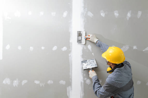 Best Fire-Damaged Drywall Repair  in Fox Farm College, WY